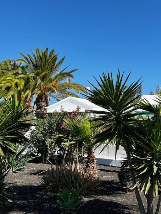 Lovely Casita Jade Playa Blanca  Eksteriør billede